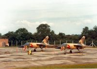 109 @ EGVA - Mirage F.1EJ 109 with companion 107, both of 1 Squadron Royal Jordanian Air Force, on the flight-line at the 1987 Intnl Air Tattoo at RAF Fairford. - by Peter Nicholson
