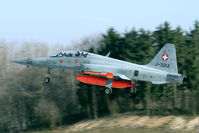 J-3212 @ LSMP - late afternoon arrival at Payerne. Note the Tiger nose art.