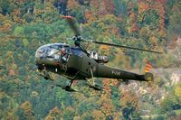 V-245 @ LSMA - Autumn give some nice backdrops for photographing. These trees are on the mountain slope adjecent to Alpnach AB.