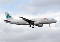 EI-CZW photo, click to enlarge EI-CZW photo, click to enlarge