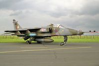 XX766 @ EGUY - Sepecat Jaguar GR1. From No 6 Sqn, RAF Coltishall at the Canberra 40th Anniversary Celebration Photocall at RAF Wyton in 1989 - by Malcolm Clarke