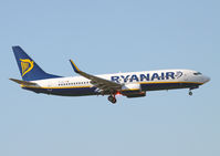 EI-DLI photo, click to enlarge EI-DLI photo, click to enlarge