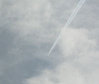 UNKNOWN @ CONTRAIL - In Flight over Faget Forest - by Claus
