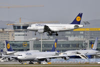 D-AILN @ EDDF - Lufthansa - by Volker Hilpert