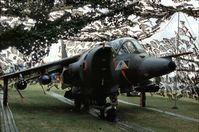 XV759 - Harrier GR.3 of 233 Operational Conversion Unit on display at the 1977 Royal Review at RAF Finningley. - by Peter Nicholson