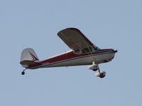 N72254 @ LAL - Cessna 140 - by Florida Metal