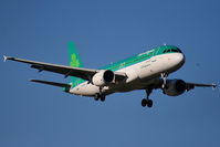 EI-DEP photo, click to enlarge EI-DEP photo, click to enlarge