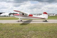 N170ED @ LAL - Cessna 170B - by Florida Metal