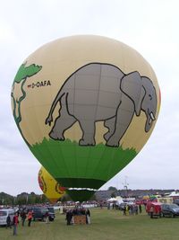 D-OAFA @ WARSTEIN - Heavy balloon with this elephant as passenger - by ghans