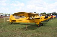 N26950 @ LAL - Piper J3