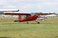 N436DC @ LAL - Cessna 140 - by Florida Metal