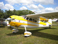 N195AB @ KLAL - 1952 Cessna 190, c/n: 7794 - by MustangoRP