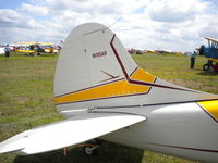 N195AB @ KLAL - 1952 Cessna 190, c/n: 7794 - by MustangoRP