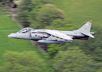 ZD438 - Royal Air Force Harrier GR9 (c/n P50). Operated by the Cottesmore Wing, coded '50'. Retains it old 4 Squadron markings. - by vickersfour