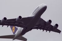 D-AIMA @ LOWW - first Visit in Vienna - by Delta Kilo