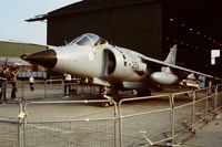 ZA194 @ EGDY - Coded 251 of 809 NAS at the RNAS Yeovilton Naval Air day 1982. - by Roger Winser