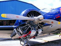 G-BKRN @ X3BR - Pratt & Whitney R-985-AN-1 Wasp Junior radial engine - by Chris Hall