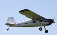 N2166N @ C55 - Cessna 140 - by Mark Pasqualino