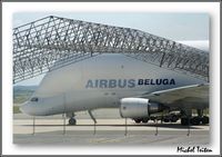 F-GSTC @ LFAQ - Airbus Beluga - by Michel Teiten ( www.mablehome.com )