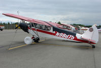 N98875 @ LHD - 1946 Piper J3C-65, c/n: 19135 at Lake Hood