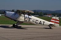 OE-CAT @ LOLW - 100 years Airfield Wels- (Andreas Pfeifer) Bücker 131 - by Delta Kilo