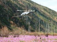 C-FZHK @ CYDA - Over Yukon Fireweed - by Erik Keyser