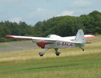 G-BXCA @ EGHP - HAPI LANDING ! POPHAM AUSTER FLY-IN 2010-08-08. - by BIKE PILOT