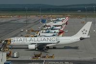 OE-LAO @ LOWW - Austrian Airlines Airbus 330-200 in Star Alliance colors