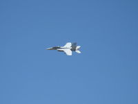 165794 @ CMA - Boeing F/A-18F SUPER HORNET fast fly-by - by Doug Robertson