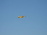 N9MB @ CMA - 1945 Northrop FLYING WING N9M, two Franklin XO-540-7 300 Hp each pushers - by Doug Robertson