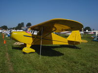 N4612H @ KOSH - Piper PA-17