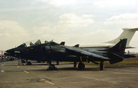 XW271 - Harrier T.4 of 1 Squadron at RAF Wittering on display at the 1977 Royal Review held at RAF Finningley. - by Peter Nicholson