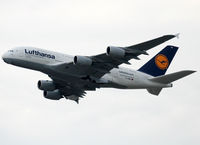 D-AIMA photo, click to enlarge D-AIMA photo, click to enlarge