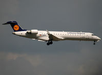 D-ACPJ photo, click to enlarge D-ACPJ photo, click to enlarge
