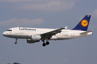 D-AILD photo, click to enlarge D-AILD photo, click to enlarge