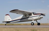 N89719 @ 6V4 - Cessna 140 - by Mark Pasqualino