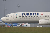 TC-JHA @ LOWW - Turkish Airlines 737-800