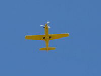 N724RX photo, click to enlarge