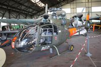 F-MBGD photo, click to enlarge
