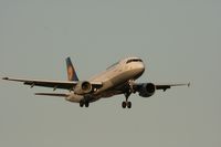 D-AIZB @ EGLL - Taken at Heathrow Airport, June 2010 - by Steve Staunton