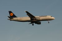 D-AIZB photo, click to enlarge D-AIZB photo, click to enlarge