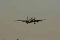 EI-DTO photo, click to enlarge EI-DTO photo, click to enlarge