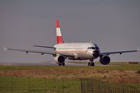 OE-LBP photo, click to enlarge OE-LBP photo, click to enlarge