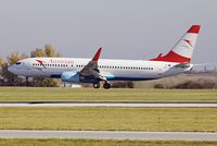 OE-LNQ photo, click to enlarge OE-LNQ photo, click to enlarge