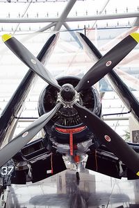 OE-EAS - Flying Bulls Hangar 7 - by Delta Kilo