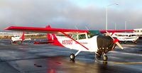 N52950 @ PAMR - Take Flight Alaska - by Christopher Maize