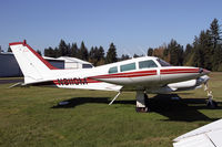 N8110M photo, click to enlarge