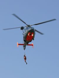 81 - Eurocopter AS-365N-2 Dauphin 2
France - Navy - by Jean Goubet/FRENCHSKY