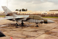 ZG795 @ EGVA - Tornado F.3, callsign Phoenix, of 56[Reserve] Squadron on the flight-line at the 1993 Intnl Air Tattoo at RAF Fairford. - by Peter Nicholson