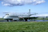 XV236 @ EGQK - This one was in experimental grey finish back in 1999.